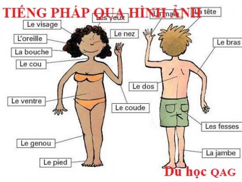 Học tiếng Pháp bằng hình ảnh